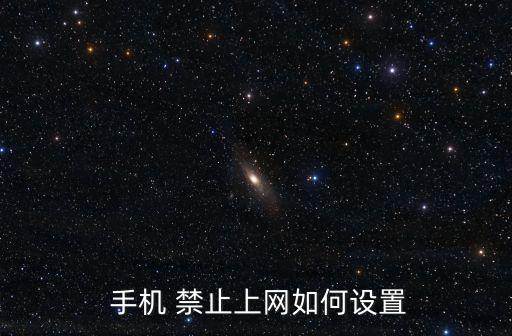  手機(jī) 禁止上網(wǎng)如何設(shè)置