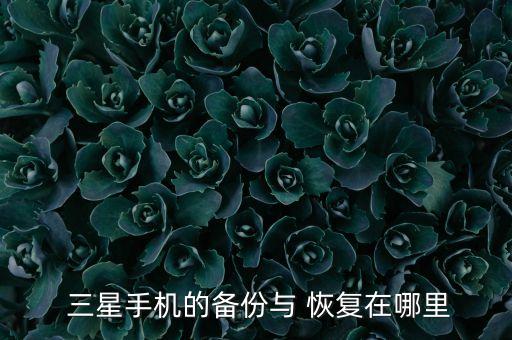  三星手機的備份與 恢復在哪里