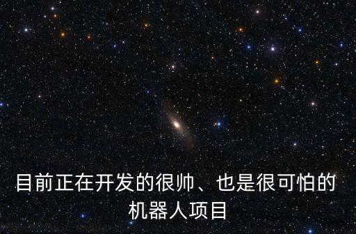 目前正在開發(fā)的很帥、也是很可怕的 機(jī)器人項(xiàng)目