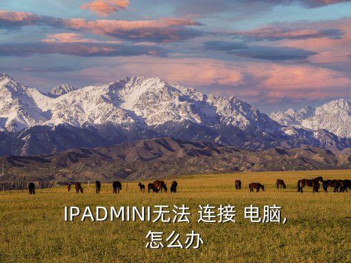 IPADMINI無法 連接 電腦,怎么辦