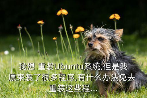 我想 重裝Ubuntu系統(tǒng),但是我原來(lái)裝了很多程序,有什么辦法免去 重裝這些程...