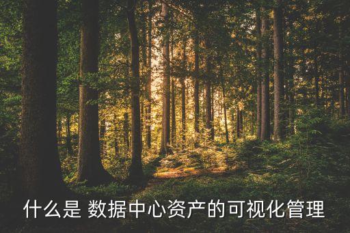 什么是 數(shù)據(jù)中心資產(chǎn)的可視化管理