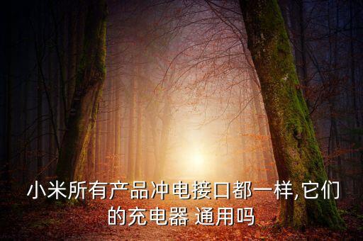 小米5和小米6的數(shù)據(jù)線通用嗎,小米數(shù)據(jù)線和oppo數(shù)據(jù)線通用嗎