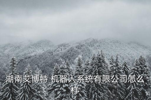 湖南艾博特 機(jī)器人系統(tǒng)有限公司怎么樣