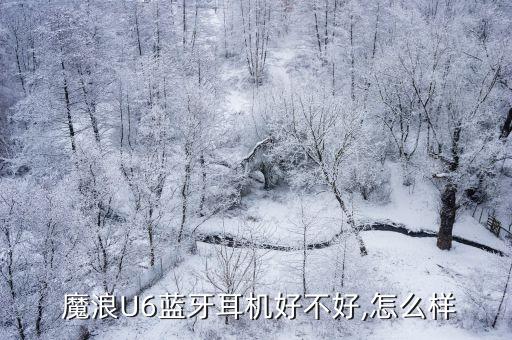 魔浪u6測評數(shù)據(jù)