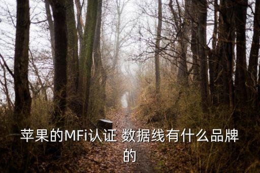 mfi數(shù)據(jù)線生產(chǎn)廠,米量數(shù)據(jù)線有沒有MFI