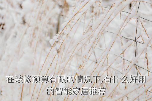在裝修預(yù)算有限的情況下,有什么好用的智能家居推薦