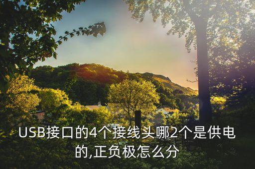 USB接口的4個接線頭哪2個是供電的,正負極怎么分
