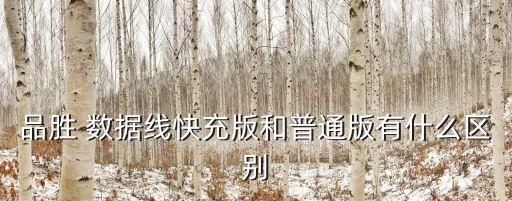 品勝 數(shù)據(jù)線快充版和普通版有什么區(qū)別