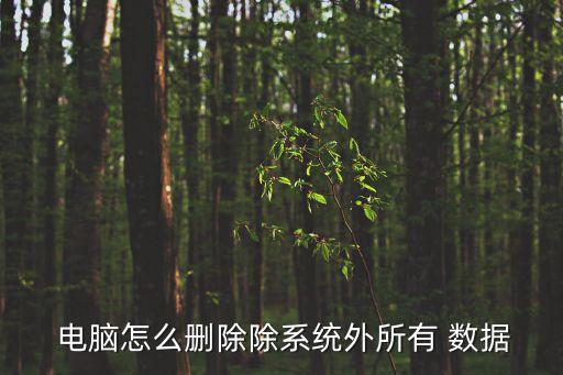  電腦怎么刪除除系統(tǒng)外所有 數(shù)據(jù)
