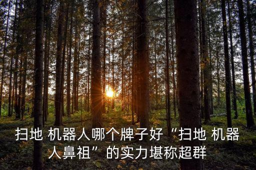 掃地 機器人哪個牌子好“掃地 機器人鼻祖”的實力堪稱超群