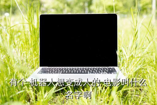 有個(gè) 機(jī)器人想變成人的 電影叫什么名字啊