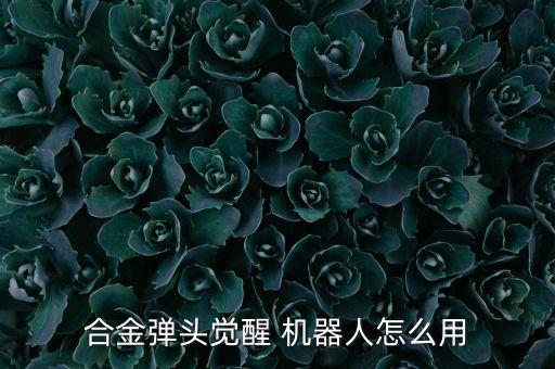 提升機(jī)器人