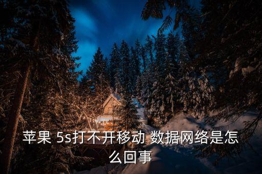 5s的手機數(shù)據(jù)在哪里設(shè)置方法,手機數(shù)據(jù)流量設(shè)置在哪里設(shè)置方法