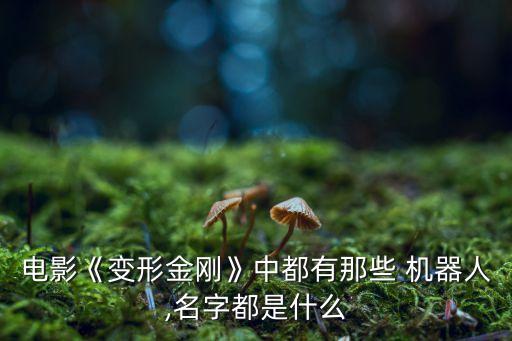 電影《變形金剛》中都有那些 機(jī)器人,名字都是什么