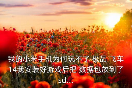 極品飛車14安卓版數(shù)據(jù)包