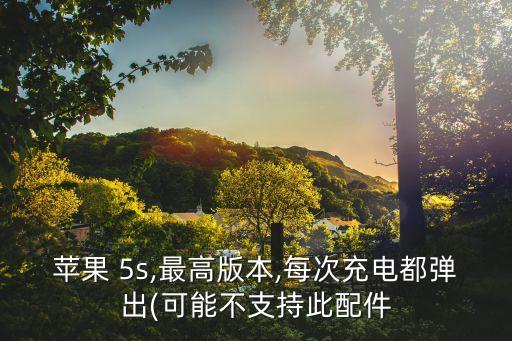 蘋果 5s,最高版本,每次充電都彈出(可能不支持此配件