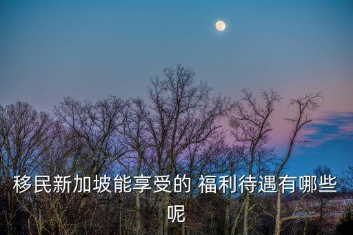 移民新加坡能享受的 福利待遇有哪些呢