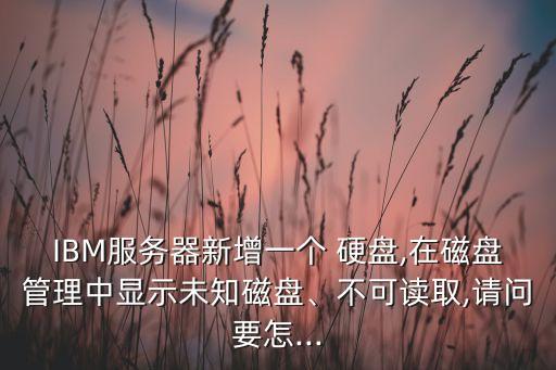 IBM服務(wù)器新增一個(gè) 硬盤(pán),在磁盤(pán)管理中顯示未知磁盤(pán)、不可讀取,請(qǐng)問(wèn)要怎...
