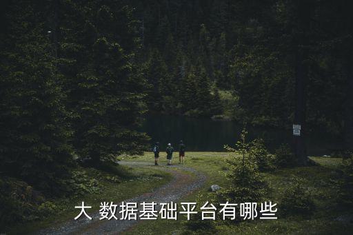 hadoop大數(shù)據(jù)查詢