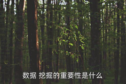數(shù)據(jù) 挖掘的重要性是什么