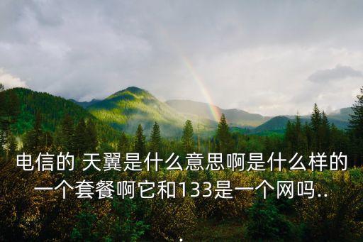 電信的 天翼是什么意思啊是什么樣的一個(gè)套餐啊它和133是一個(gè)網(wǎng)嗎...