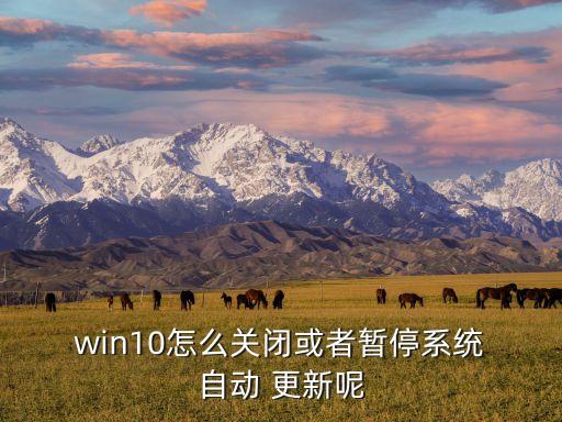  win10怎么關閉或者暫停系統(tǒng) 自動 更新呢
