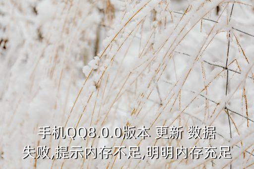 手機(jī)QQ8.0.0版本 更新 數(shù)據(jù)失敗,提示內(nèi)存不足,明明內(nèi)存充足