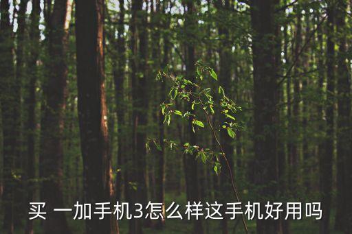買 一加手機3怎么樣這手機好用嗎