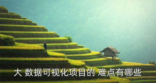 大 數(shù)據(jù)可視化項(xiàng)目的 難點(diǎn)有哪些