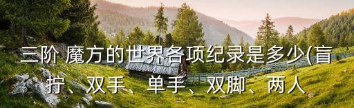 三階 魔方的世界各項(xiàng)紀(jì)錄是多少(盲擰、雙手、單手、雙腳、兩人