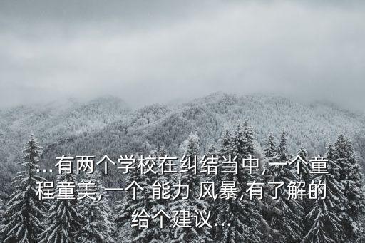 ...有兩個(gè)學(xué)校在糾結(jié)當(dāng)中,一個(gè)童程童美,一個(gè) 能力 風(fēng)暴,有了解的給個(gè)建議...