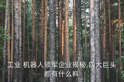 工業(yè) 機器人領(lǐng)軍企業(yè)揭秘,四大巨頭都有什么料