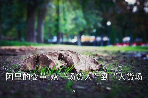 阿里的變革:從“場貨人”到“人貨場”