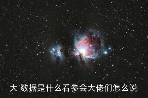 大 數(shù)據(jù)是什么看參會(huì)大佬們?cè)趺凑f