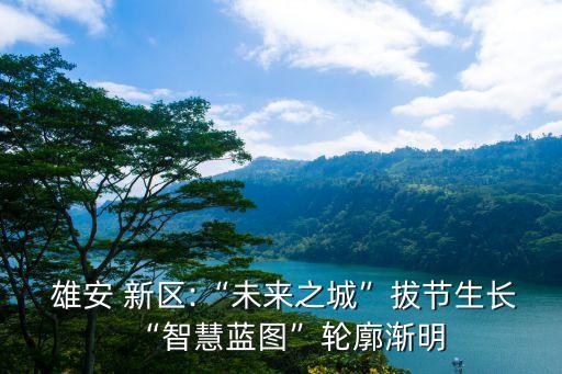 雄安新區(qū)建設數(shù)據(jù),為什么建設雄安新區(qū)