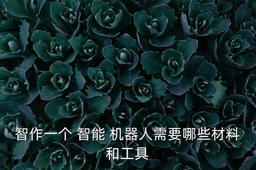 智作一個 智能 機器人需要哪些材料和工具
