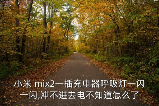 小米 mix2一插充電器呼吸燈一閃一閃,沖不進(jìn)去電不知道怎么了