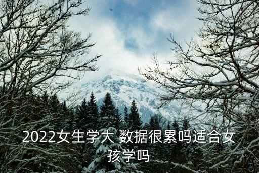 2022女生學(xué)大 數(shù)據(jù)很累嗎適合女孩學(xué)嗎