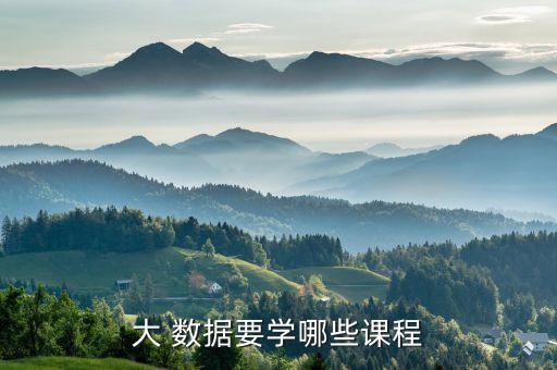 大 數(shù)據(jù)要學(xué)哪些課程