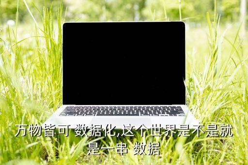 數(shù)據(jù)可以是,中文Excel的單元格中的數(shù)據(jù)可以是
