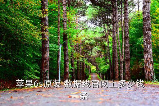  蘋果6s原裝 數(shù)據(jù)線官網(wǎng)上多少錢一條