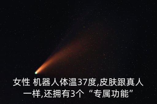 性用美女機器人,美女機器人都有什么功能