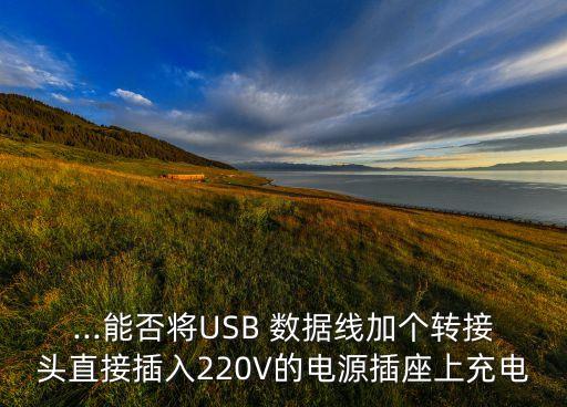 ...能否將USB 數(shù)據(jù)線加個轉(zhuǎn)接頭直接插入220V的電源插座上充電