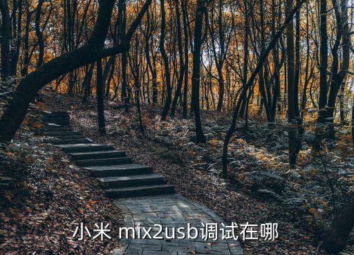 mix2數(shù)據(jù)線怎么用,小米mix2數(shù)據(jù)線是幾a