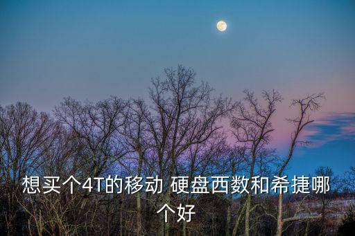 想買個4T的移動 硬盤西數(shù)和希捷哪個好