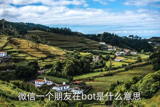 朋友圈學(xué)英語(yǔ)機(jī)器人,學(xué)了很多關(guān)于機(jī)器人的知識(shí)的英語(yǔ)