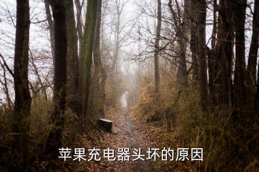 蘋果充電器頭壞的原因