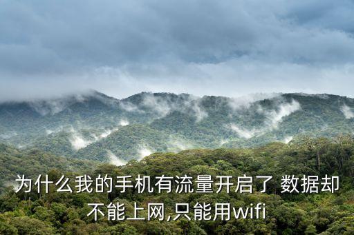 為什么我的手機有流量開啟了 數(shù)據(jù)卻不能上網(wǎng),只能用wifi