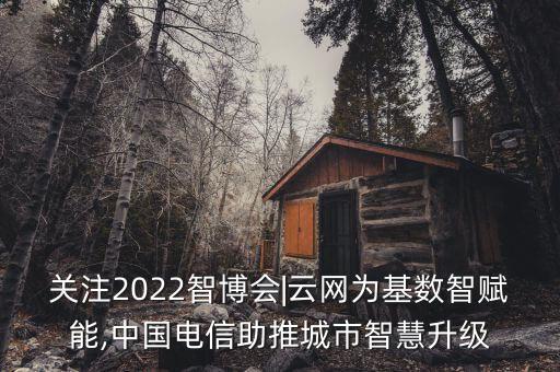 ai 大數(shù)據(jù) 云,大數(shù)據(jù)云服務